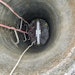 Plugs divert flow for manhole bench and channel rehabilitation
